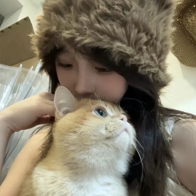 绵羊侦探团